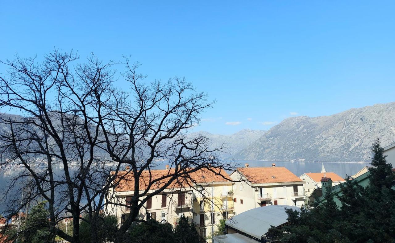 Apartman - Dobrota Sun Kotor Bagian luar foto